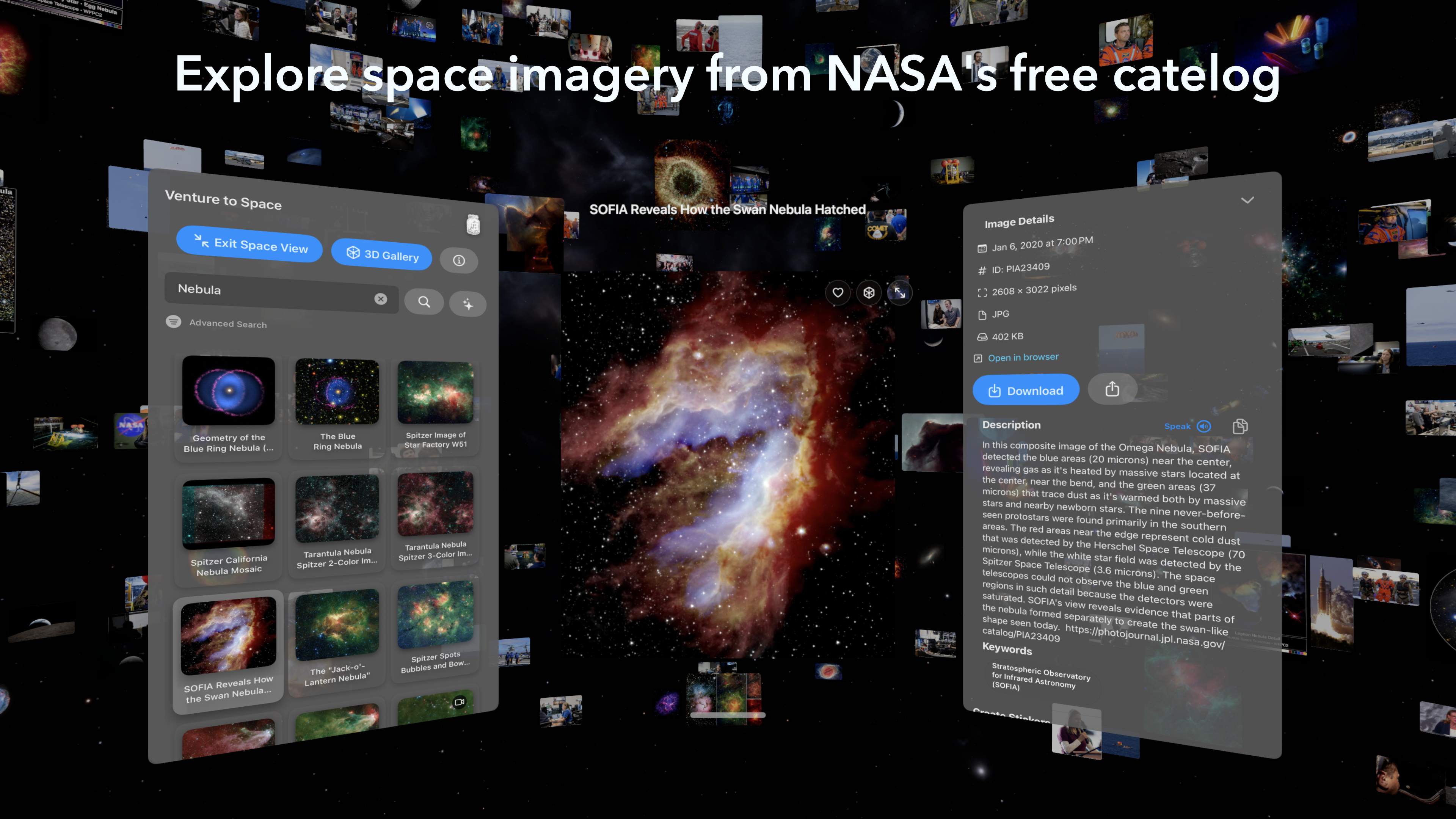 Vision Pro 3D Gallery